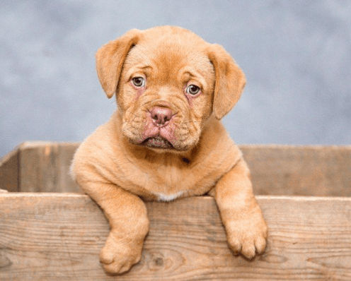 screenshot-docs.google.com-2022.03.28-17_59_30