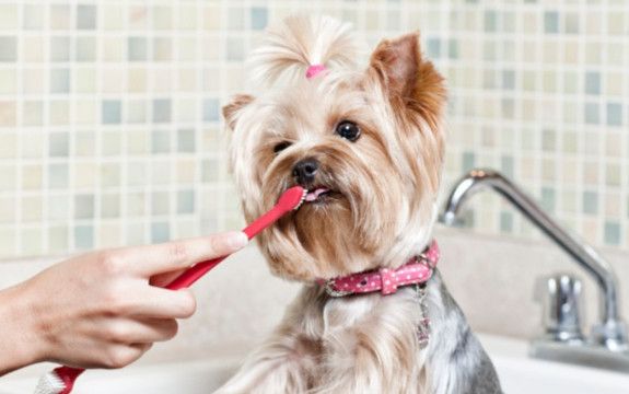 screenshot-docs.google.com-2022.10.24-22_46_01