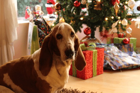 screenshot-docs.google.com-2022.12.15-00_51_13