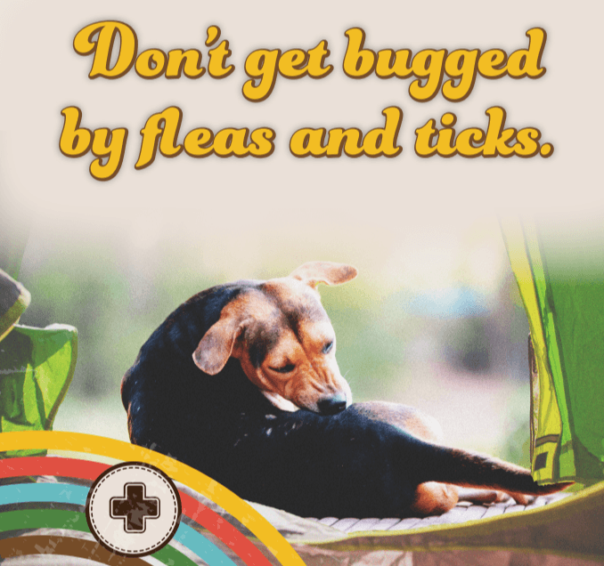 Fleas-and-Ticks-blog