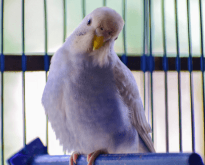 City-Ve_20210126-233608_1