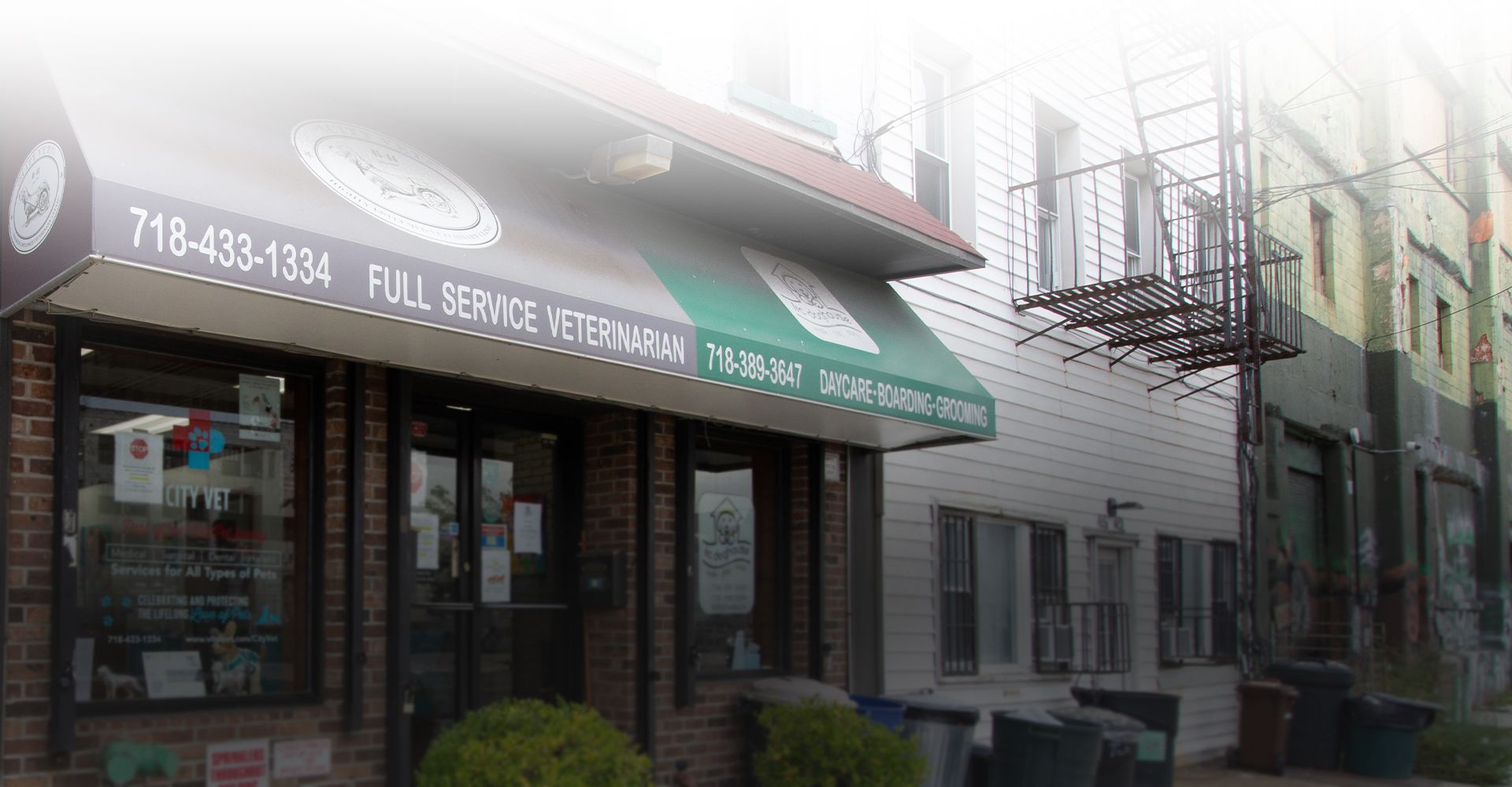 city vet veterinary clinic facade
