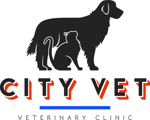 City Vet